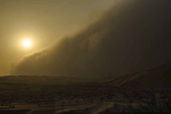 sandstorm